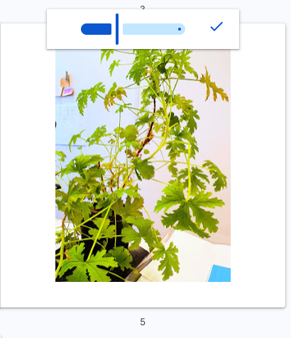 bijsnijden_google-fotos