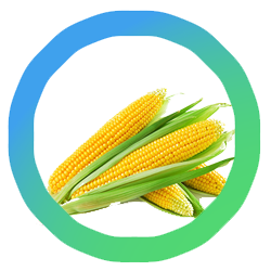 milieucentraal-groente-fruitkalender