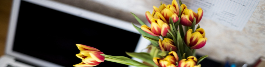 Pigment Installeren Rouwen Bosje bloemen versturen via internet | SeniorWeb
