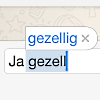 autocorrectie